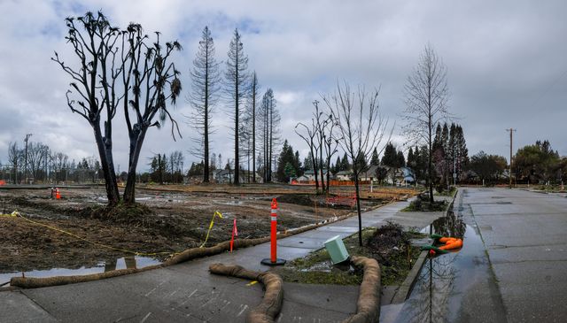 26098016447 de5cb9d600 o