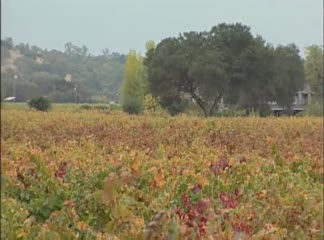Dry Creek Valley
